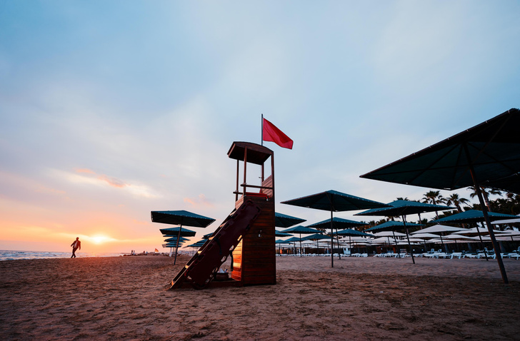 Чтобы не потерять туристов, пляжи оборудуют сетками, но только дорогие — как живет Египет после ЧП с акулой