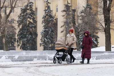50 молодых семей в Тюменской области получат господдержку