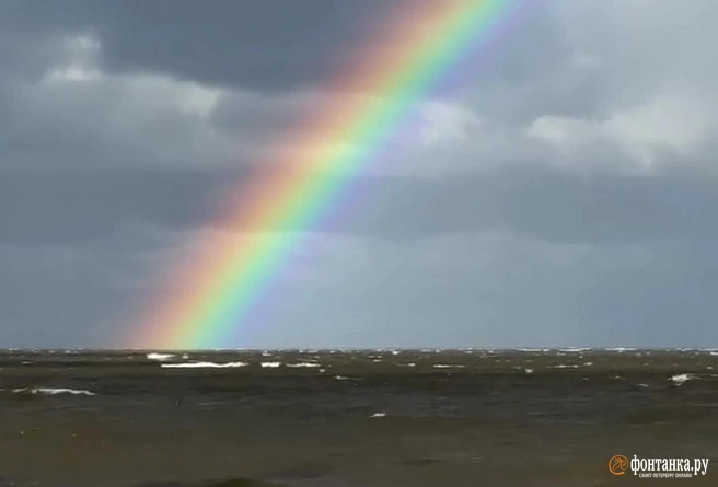 Срочно идем искать горшочек с золотом. Над Петербургом двойная радуга | Источник: читательница «Фонтанки» Дарья