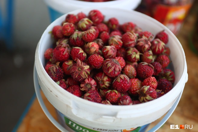 Омичи похвастались набранной ягодой и выложили в группу «ВКонтакте» | Источник: Владислав Лоншаков / E1.RU