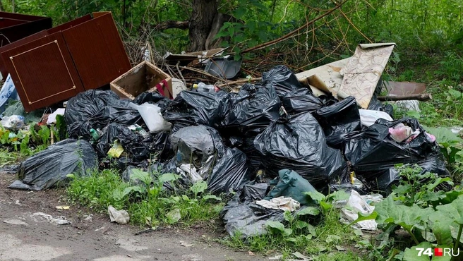 На въезде в посёлок Лукино ликвидировали проблемную контейнерную площадку | Источник: Наталья Лапцевич / 74.RU