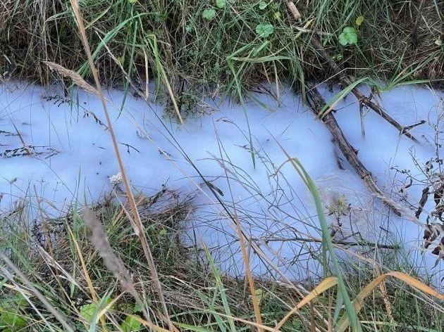 Под Петербургом экологи проверяют сине-фиолетовые стоки с завода косметики | Источник: комитет госэконадзора Ленобласти