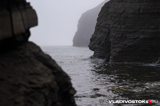 Землей владеет ООО «Одисей» | Источник: Елена Буйвол / VLADIVOSTOK1.RU