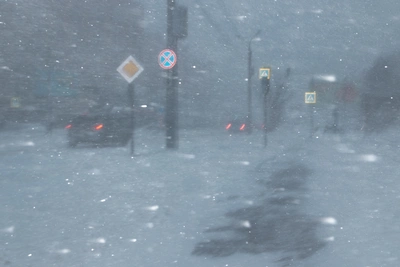 Опасный ветер прогнозируется в Архангельской области