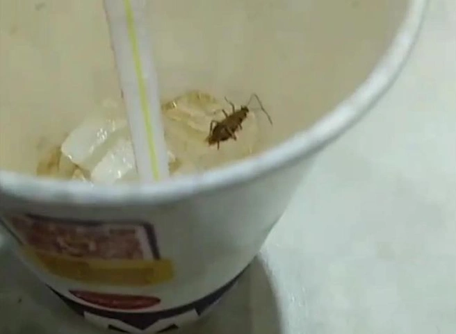 В рязанском McDonald’s в напитке нашли таракана | ya62.ru