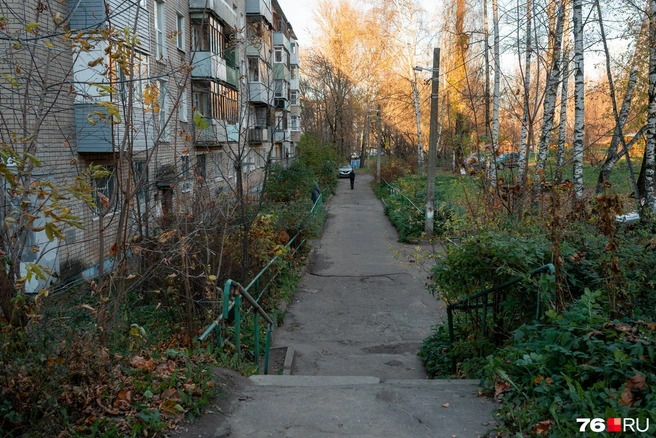 В этом спальном микрорайоне дворы утопают в зелени | Источник: Александр Куренной / 76.RU