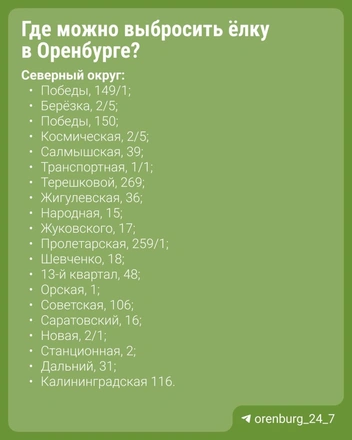 Источник: 56.RU / t.me
