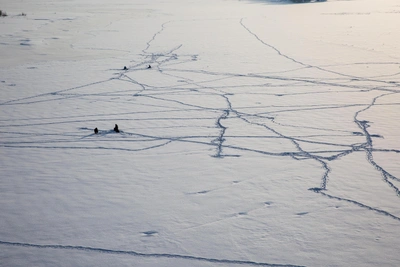 Две ледовые переправы через Оку откроют в Рязанской области