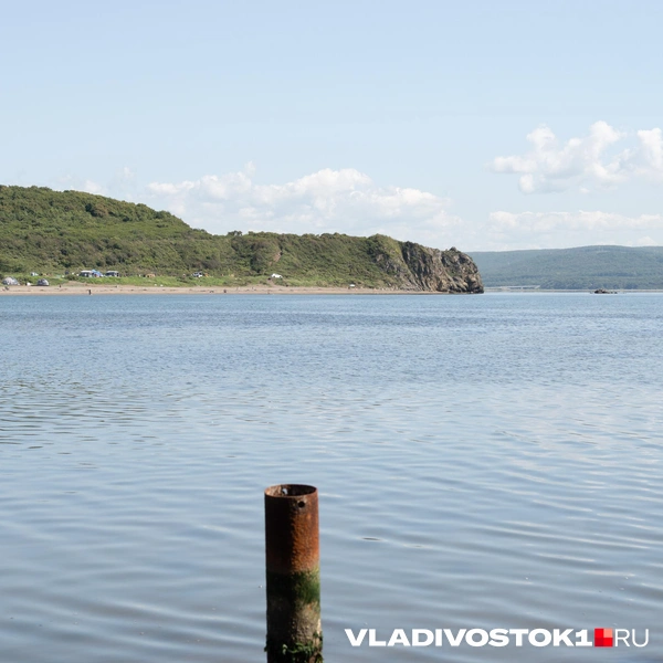 Источник: Елена Буйвол / VLADIVOSTOK1.RU