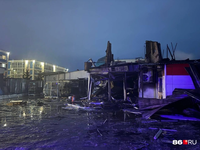 Источник: Анастасия Сидорова / 86.RU