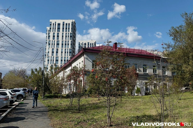 Источник: Елена Буйвол / VLADIVOSTOK1.RU