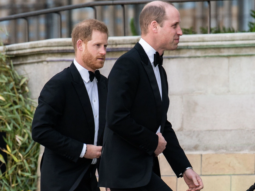 Принц Гарри и принц Уильям принимают участие в мировой премьере телесериала Netflix «Наша планета» в Музее естественной истории, Лондон, 4 апреля 2019 | marieclaire.ru