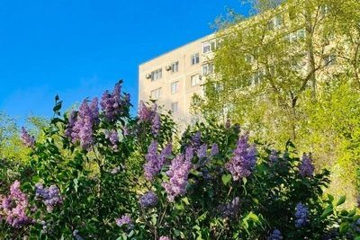 В Оренбургской области снова опасность атаки БПЛА