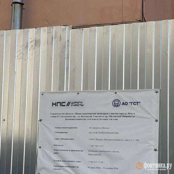 Источник: Анастасия Голубева / FONTANKA.RU