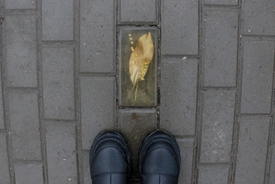 Ландыш под подошвой: загадочные плитки в Нижнем