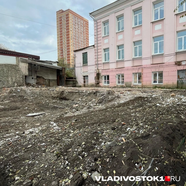 Источник: Елена Буйвол / VLADIVOSTOK1.RU