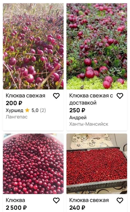 Литр клюквы в среднем стоит 200–250 рублей | Источник: Avito.ru