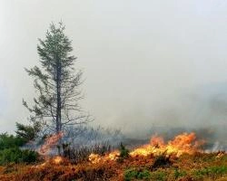 В Свердловской области закрыт пожароопасный сезон | www.e1.ru