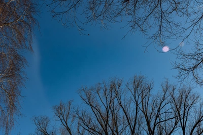 Погода на Ставрополье 29 апреля: дождь и потепление до +19 °C