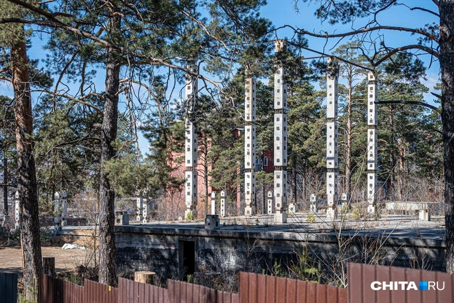 Участок находится почти в лесу недалеко от стадиона СибВО | Источник: Олег Фёдоров / CHITA.RU
