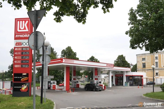 Проспект Добролюбова, 20 к6 | Источник: Павел Даиси / FONTANKA.RU