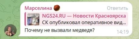 Видимо у людей/программ нет человечности | Источник: скриншот @ngs24_krsk / Telegram