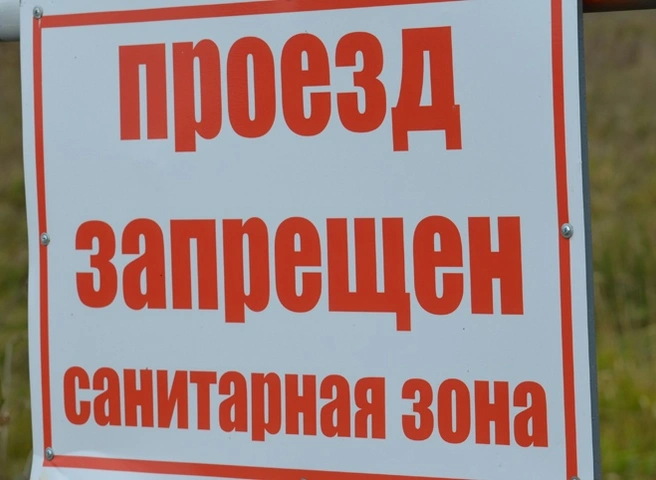 Оперштаб поручил губернаторам принять дополнительные меры по борьбе с ковидом | ya62.ru