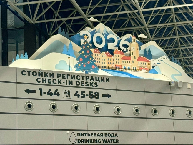 Картон после праздников отправят в переработку  | Источник: пресс-служба аэропорта Сочи 
