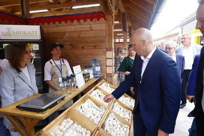 В Калининградской области открылась фермерская ярмарка