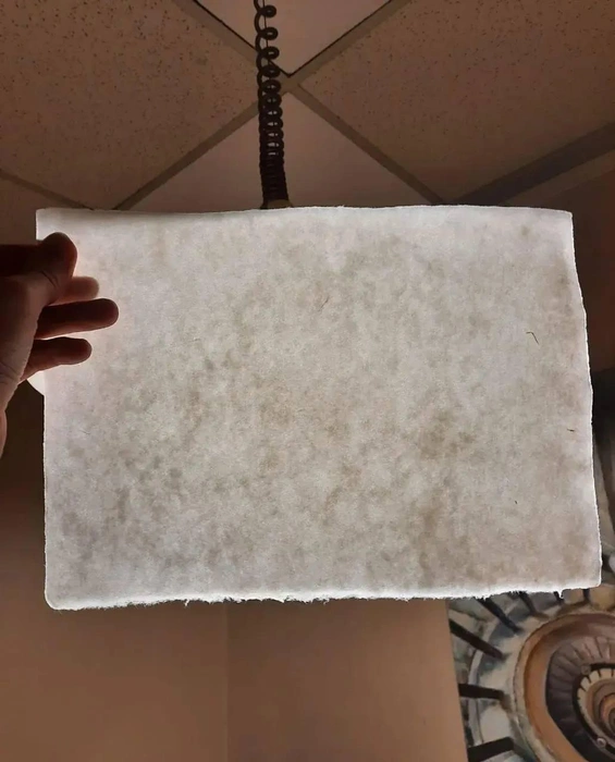 Источник: Музей истории Санкт-Петербурга