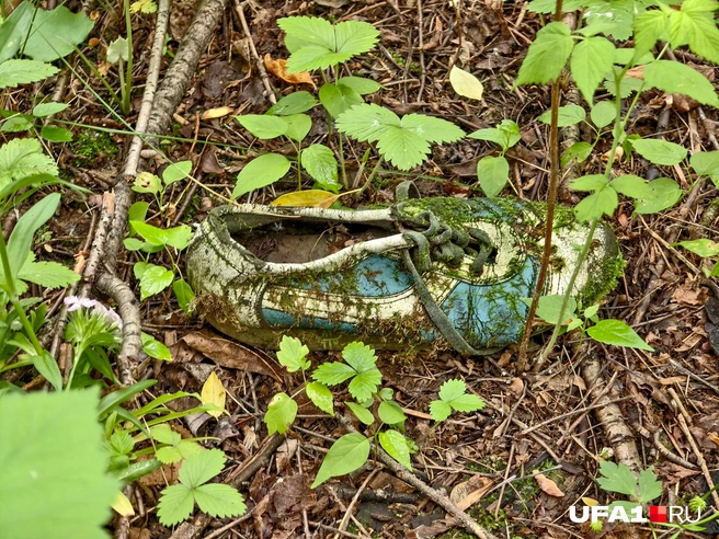 Золушка, найдись! | Источник: Булат Салихов / UFA1.RU