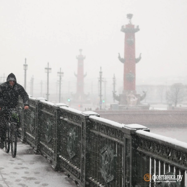 Источник: Сергей Михайличенко / «Фонтанка.ру»