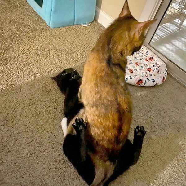 Источник: соцсеть