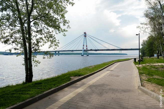 Источник: st.cherinfo.ru