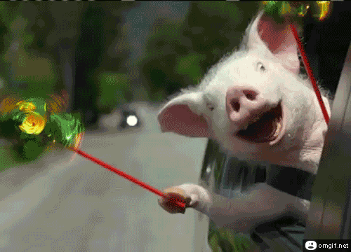Тест: Какая ты известная свинка?