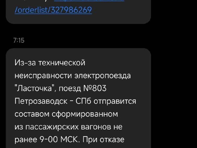 Источник: скриншот собеседницы «Фонтанки»