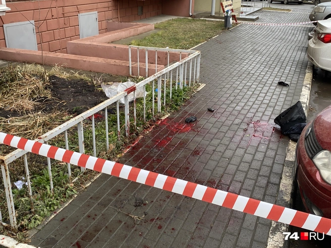 Убийство произошло у палисадника между двумя подъездами | Источник: Виталий Гущинский
