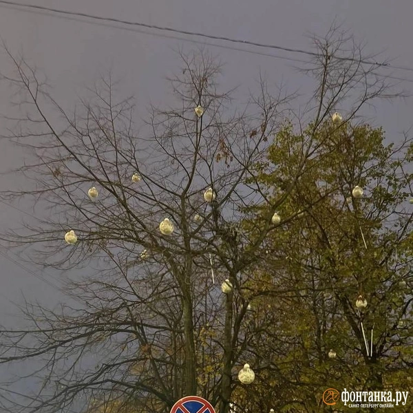 Источник: Ирина Лысак / «Фонтанка.ру»