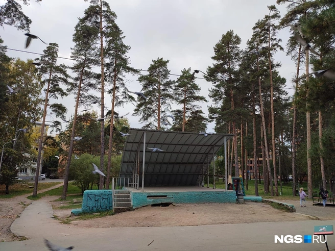 В центре сквере находится эстрада, которая будет или отреставрирована, или заменена на совершенно новую | Источник: Илья Калинин / NGS.RU