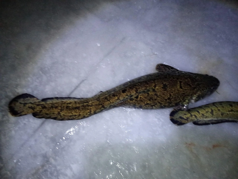 Источник: Владимир Белоненко