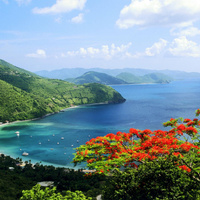 Аватарка Светлана Шеина