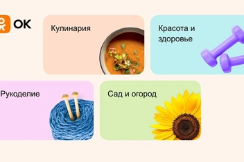 «Одноклассники» обновили «Увлечения»: общение по интересам, вопросы профессионалам и экспертные материалы