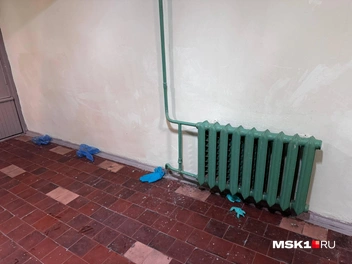 Источник: Дмитрий Толстошеев / MSK1.RU