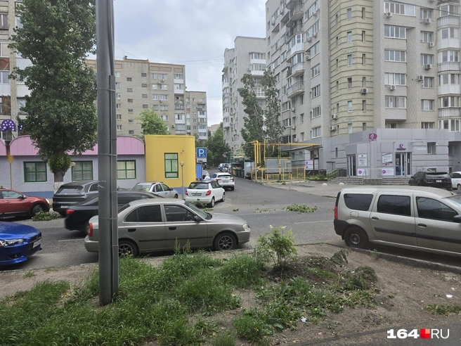 На дороге в центре Саратова оборванные ветки | Источник: Семен Коротов-Майбах / 164.RU