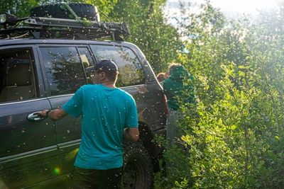 Биологи опровергли слухи о нашествии комаров из-за снежной зимы