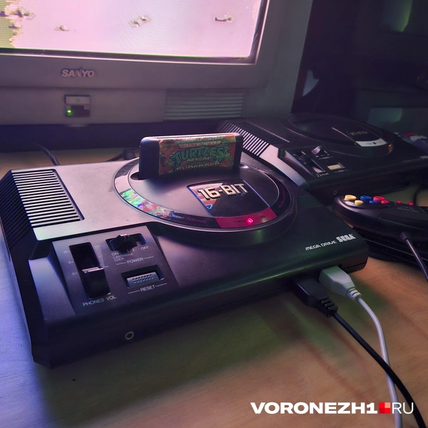 Источник: Алёна Воропаева / Voronezh1.ru