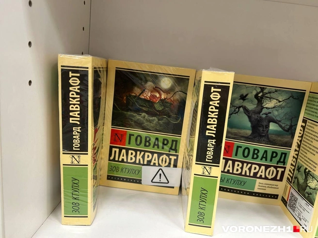 Такие наклейки явно привлекают внимание | Источник: Мария Мишукова / Voronezh1.ru