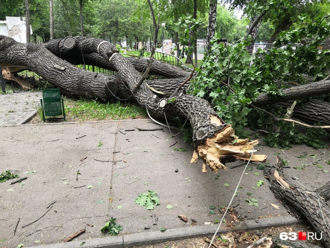 Источник: Евгений Зиновьев