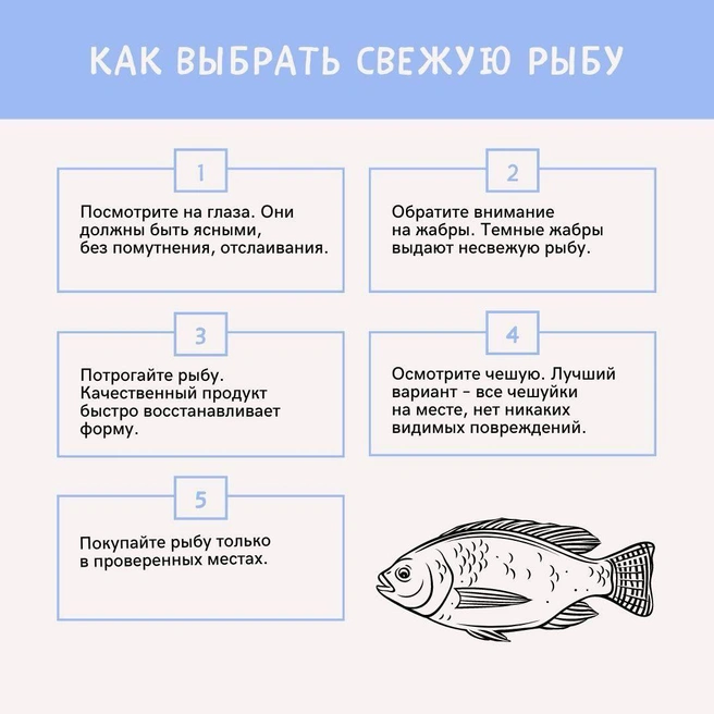 Источник: Роспотребнадзор Санкт-Петербург и Ленинградская область