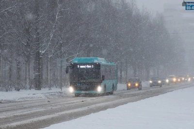 Перевозчиков в Барнауле отчитали за сбои в морозы